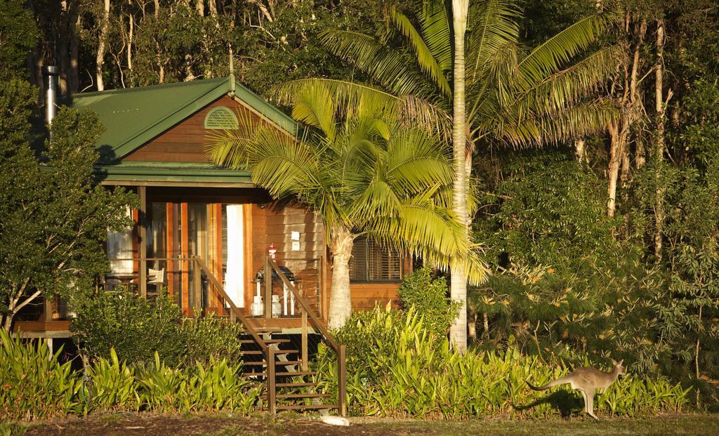 Lake Weyba Cottages Noosa Peregian Beach Extérieur photo