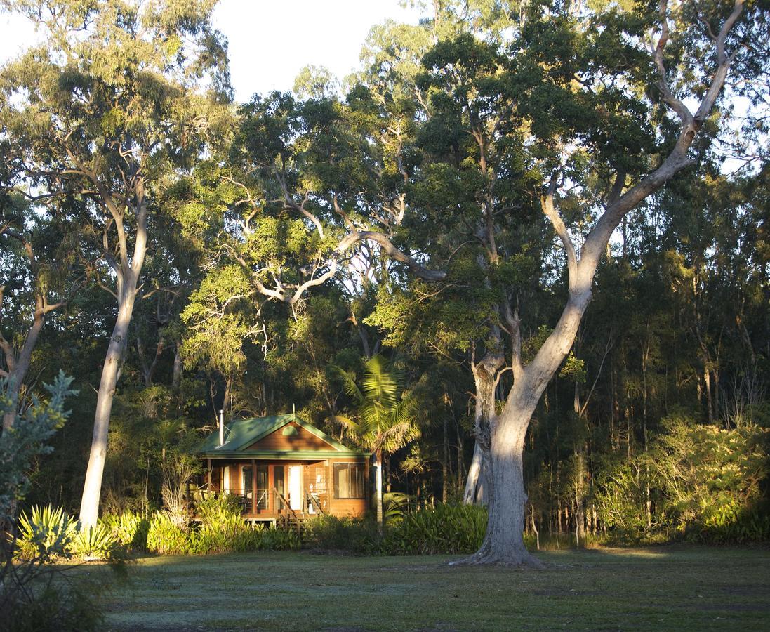 Lake Weyba Cottages Noosa Peregian Beach Extérieur photo