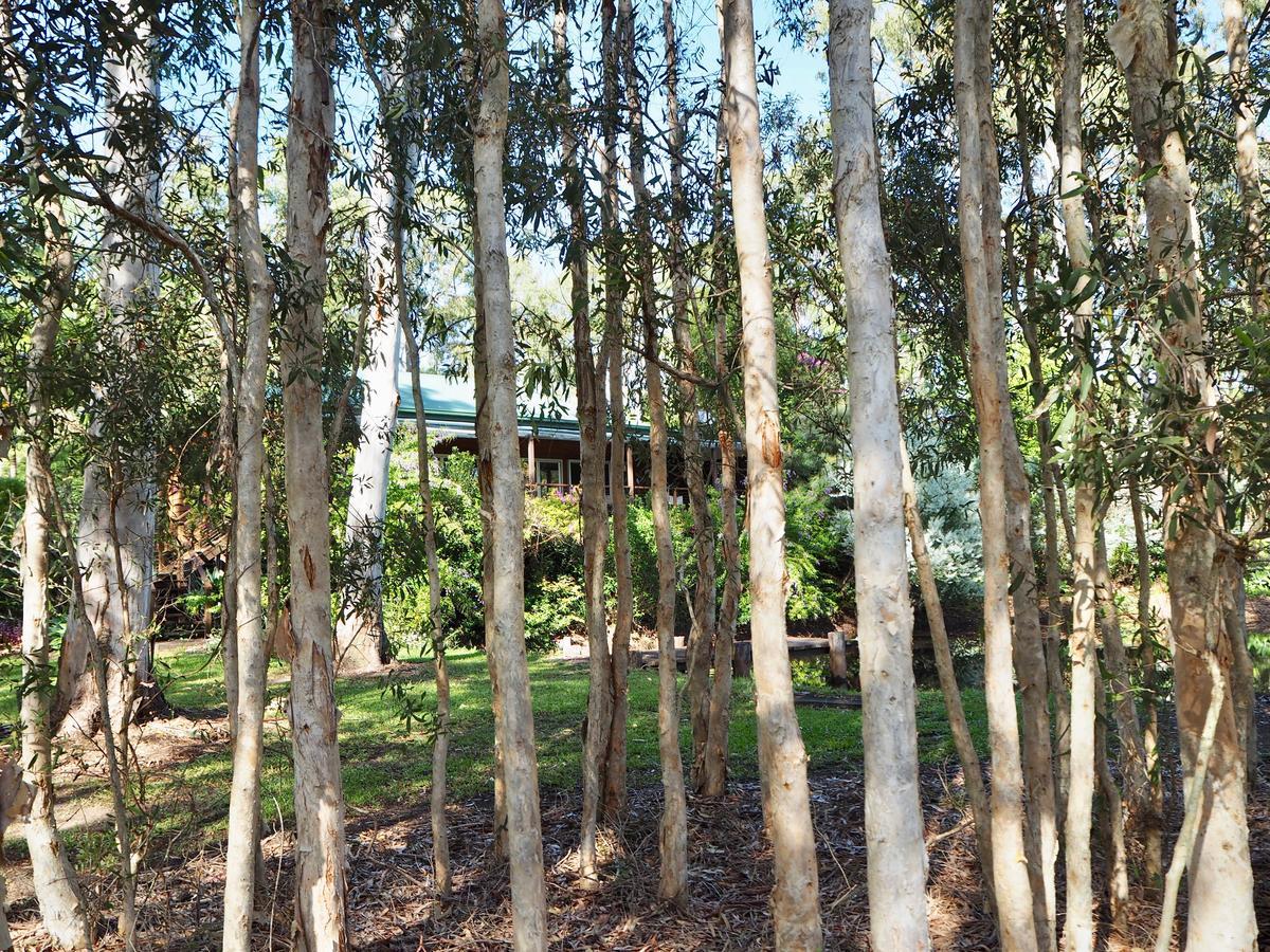 Lake Weyba Cottages Noosa Peregian Beach Extérieur photo